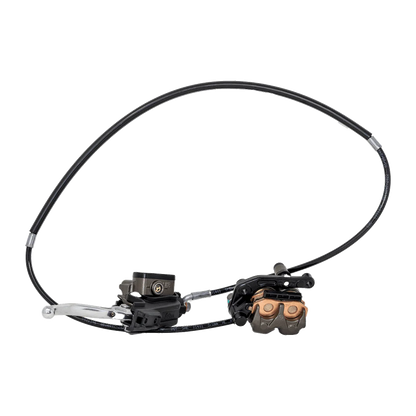 Front ultra bee brakes