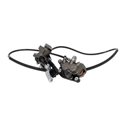 Front ultra bee brakes