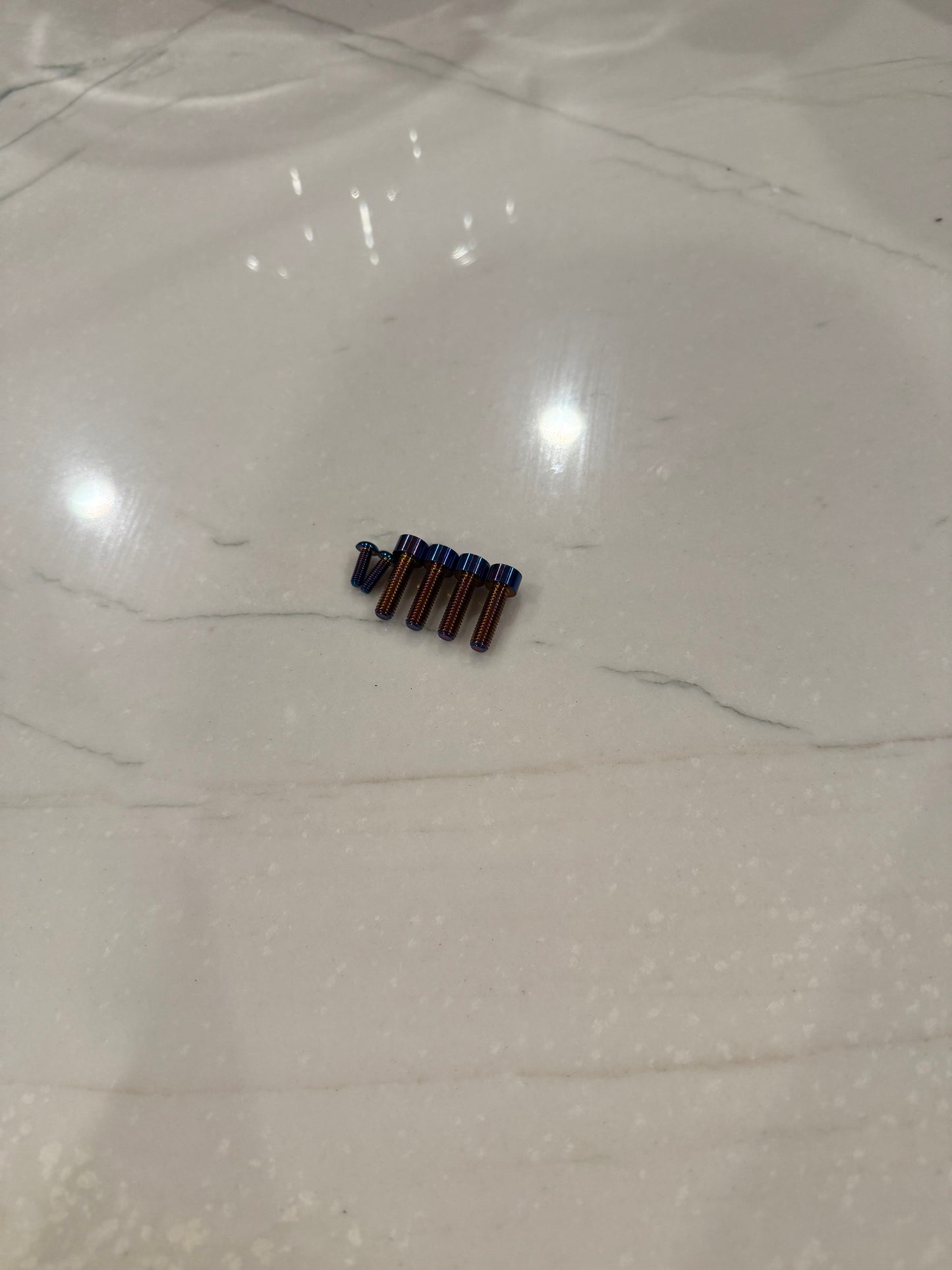 Ultra Bee Brake resovoir bolts