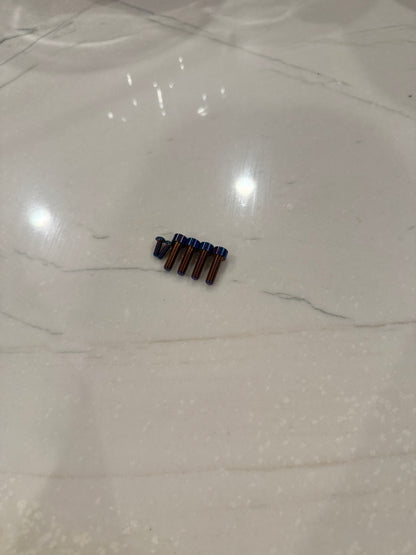 Ultra Bee Brake resovoir bolts