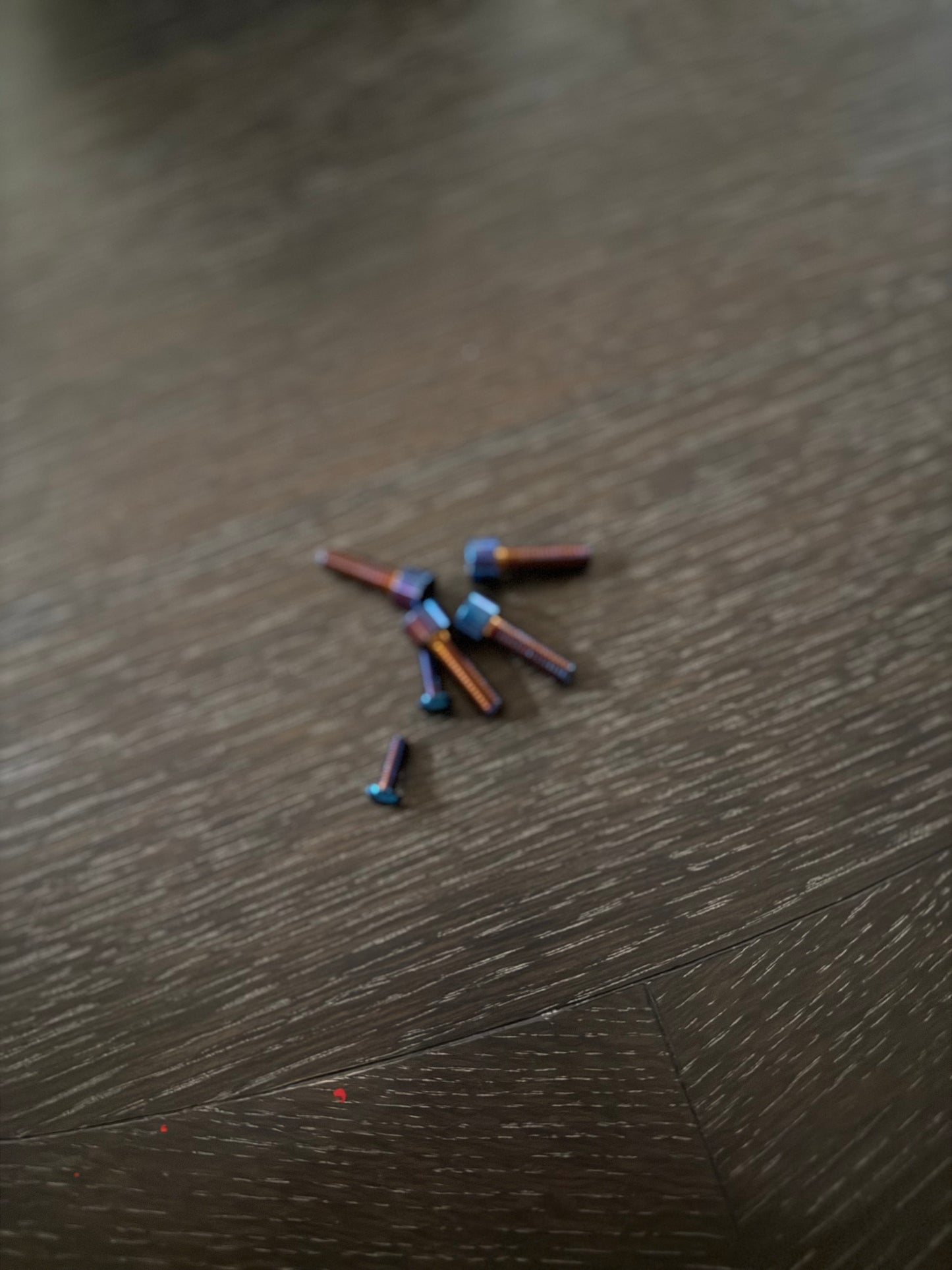 Ultra Bee Brake resovoir bolts